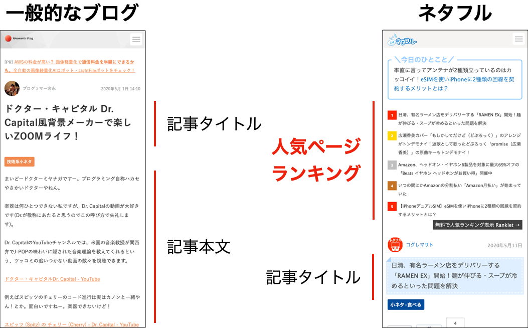 netaful-ranking.png