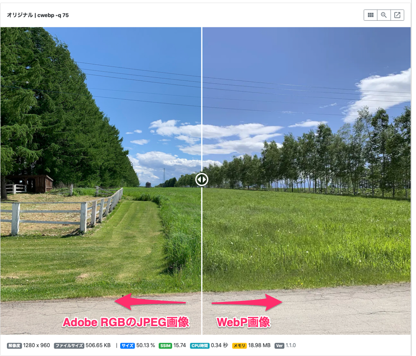 webp-no-icc.png