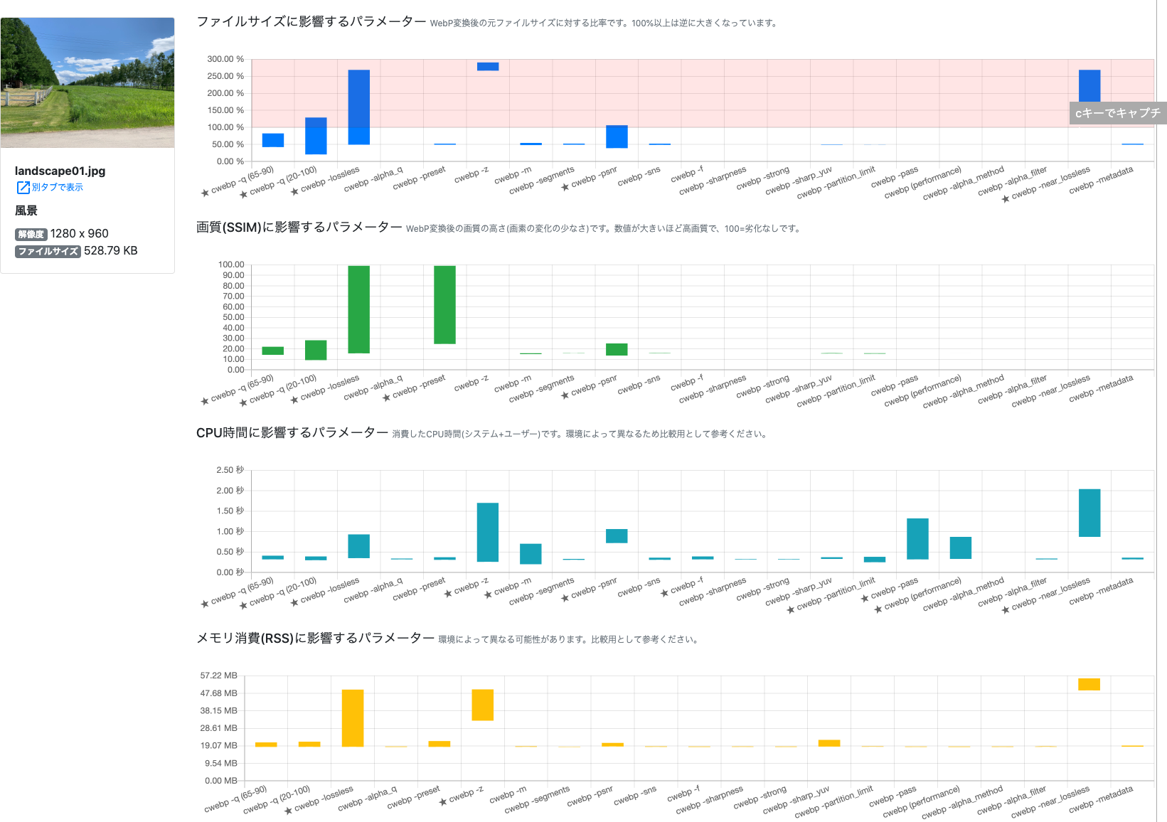 webp-summary.png