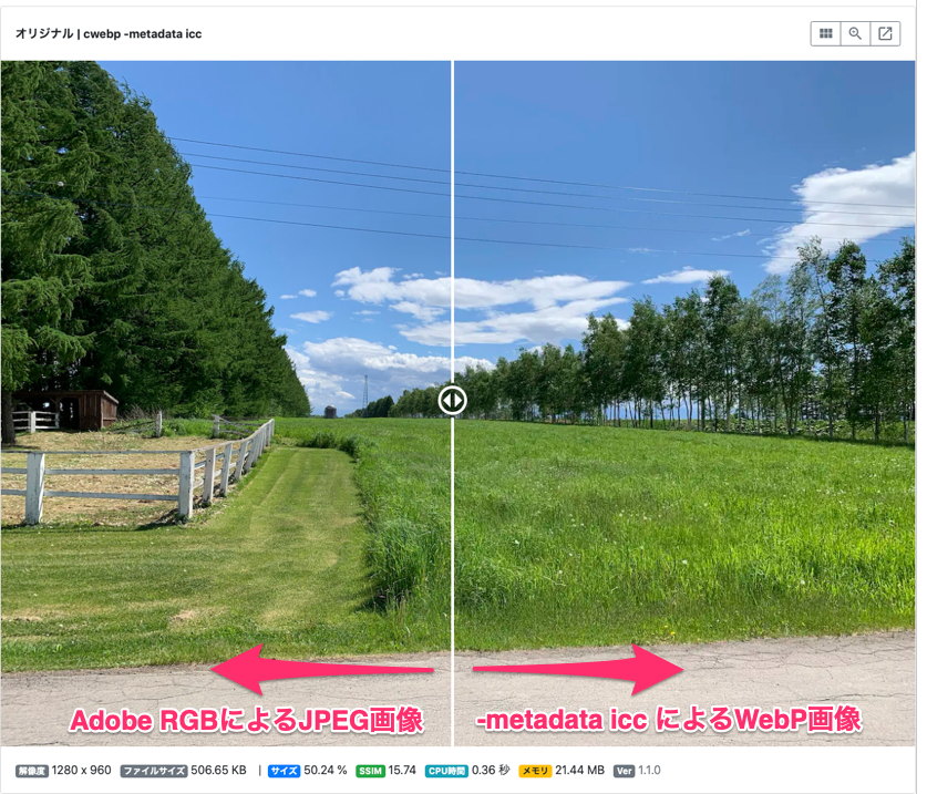 webp-with-icc.png