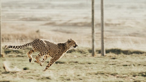 Google Speed Updateで表示高速化しようと思ったら、まずは画像軽量化からはじめましょう