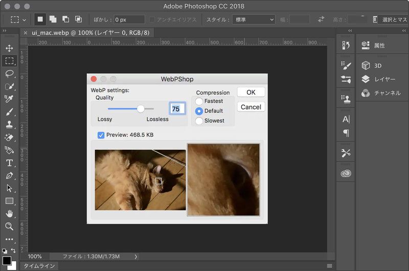 webp-open.png