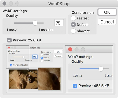 webp-options.png
